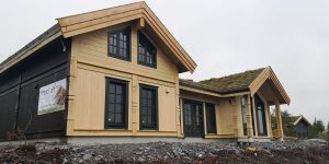 Modern hytte massiv tra