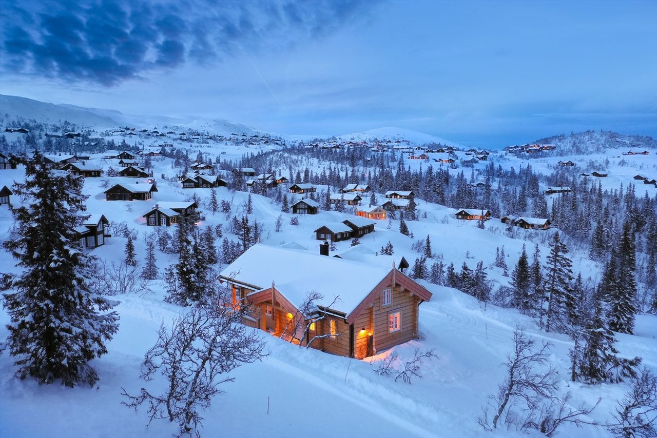 Log House